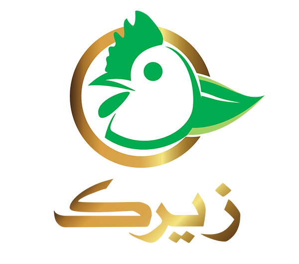 زیرک