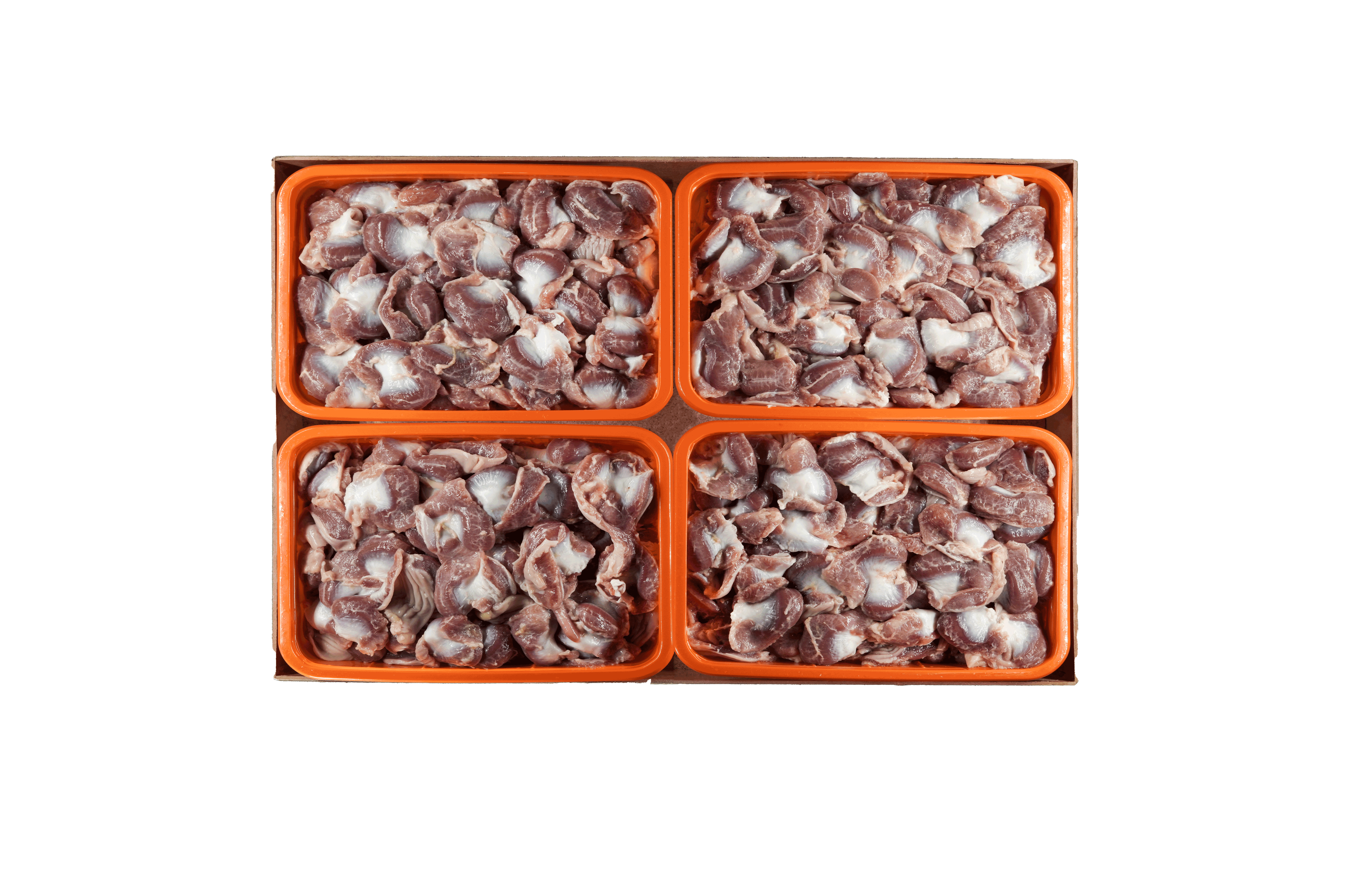 سنگدان بسته بندی منجمد   