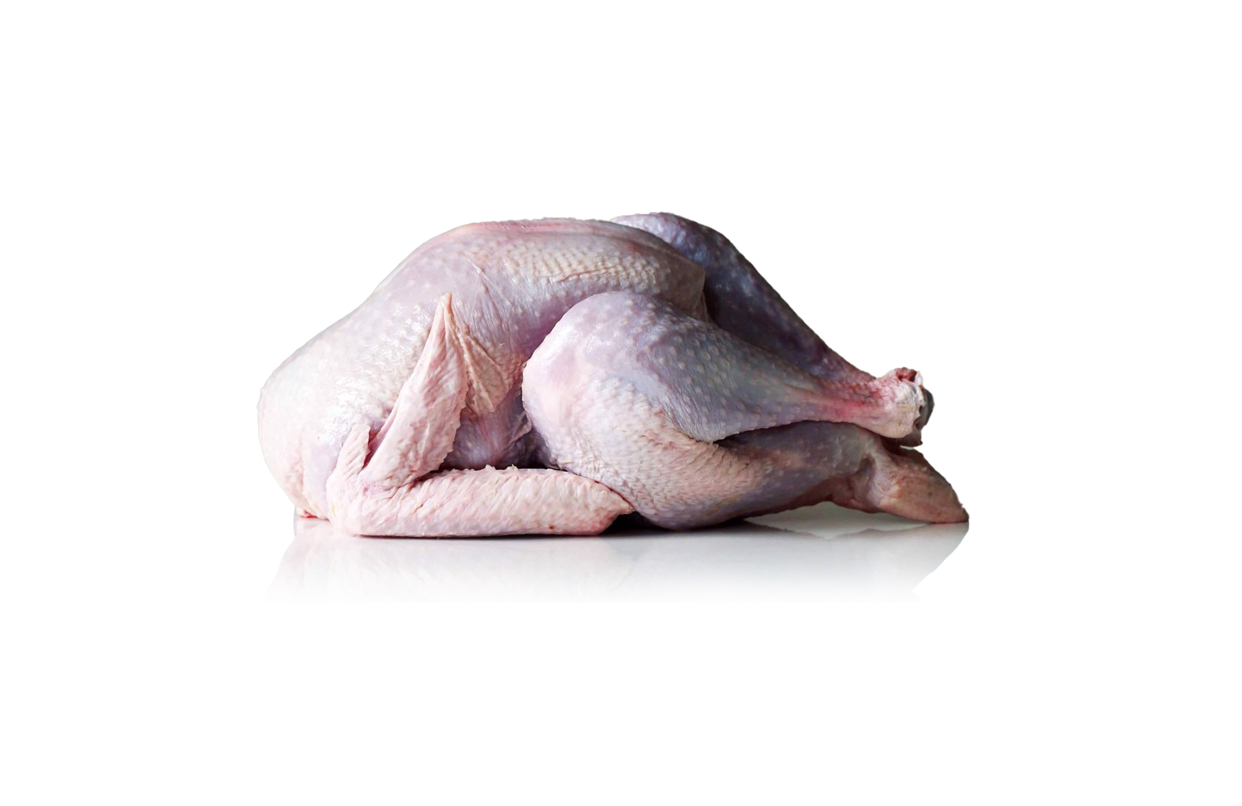 بوقلمون کامل