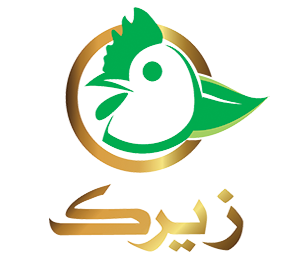 زیرک