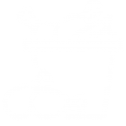 محصولات قطعه بندی