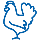 مرغ بدون آنتی بیوتیک