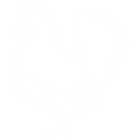 مرغ بدون آنتی بیوتیک