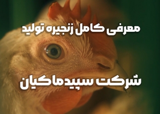 سپیدماکیان - یک زنجیره کامل