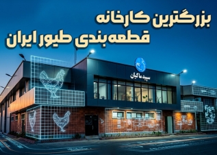 بزرگترین کارخانه قطعه بندی طیور ایران