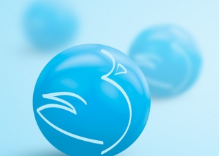  اعضای کمیته ریسک شرکت سپیدماکیان