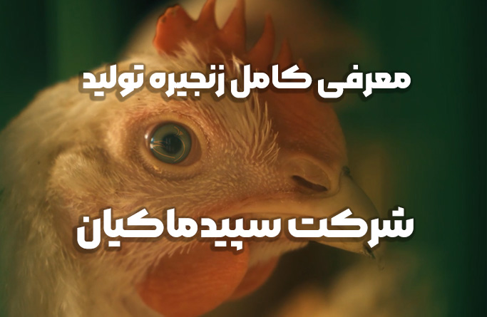 سپیدماکیان - یک زنجیره کامل