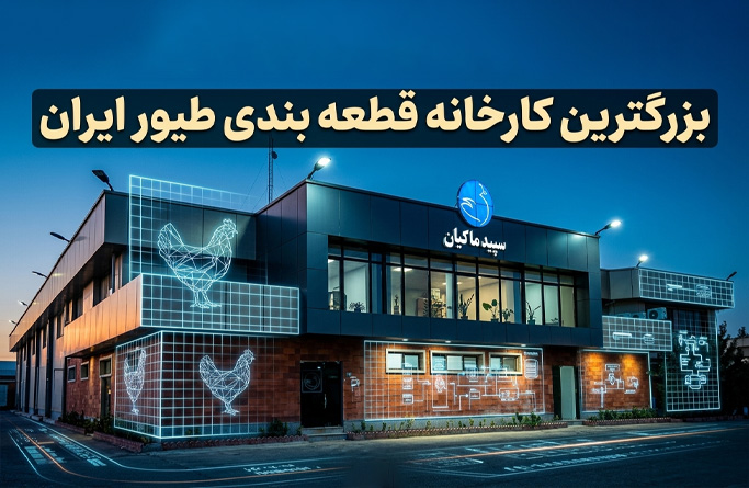 بزرگترین کارخانه قطعه بندی طیور ایران