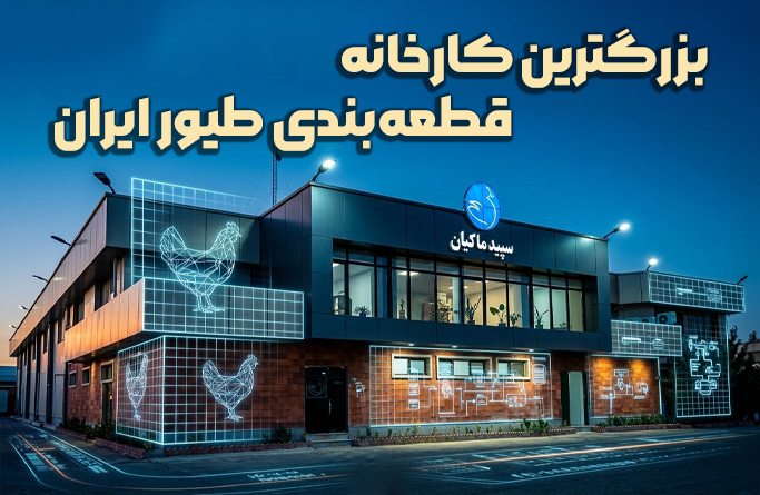 بزرگترین کارخانه قطعه بندی طیور ایران
